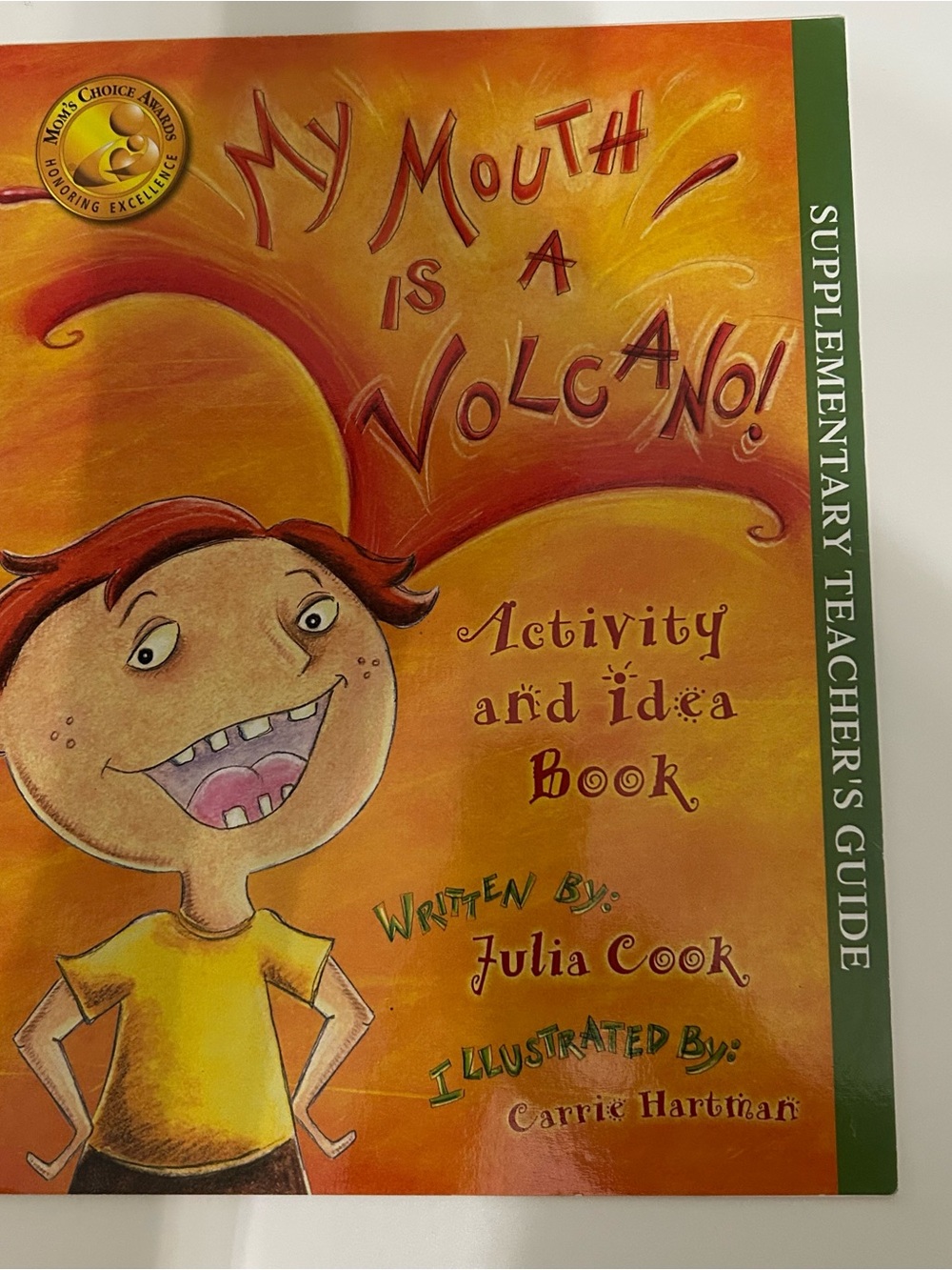 2/$10 My Mouth is a Volcano Activity and Idea Book by Julia Cook